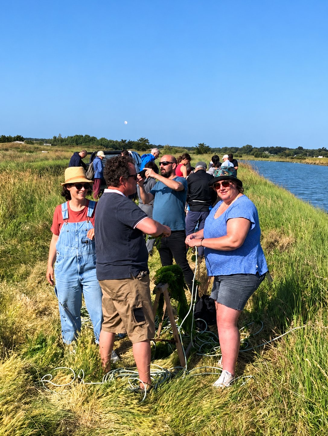Un groupe de personnes se tient sur une digue herbeuse au bord de l'eau, sous un ciel bleu, avec des cordes et des algues au sol.