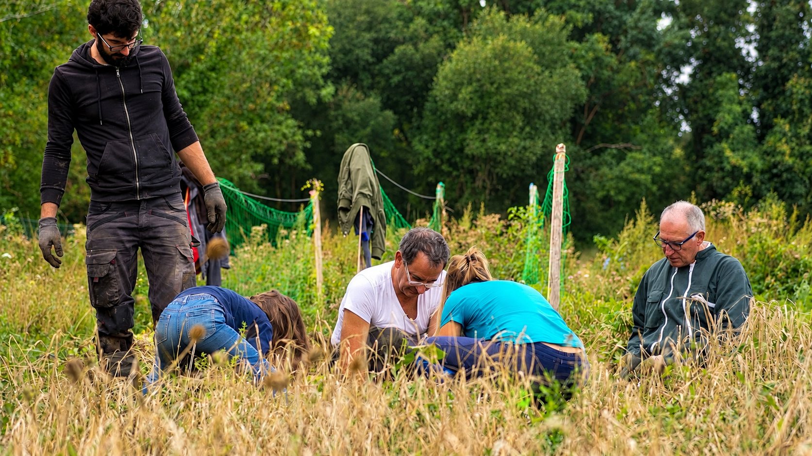 Cinq personnes s'activent accroupies ou debout dans un champ d'herbes hautes, devant des piquets et des filets verts, avec des arbres en arrière-plan.